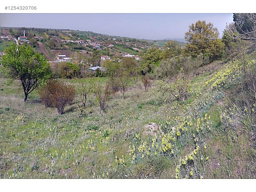 BURSA M.KEMALPAŞA DEMİRDERE KÖYÜNDE 4.536 M² TARLA SATILIKTIR. - BURSA MUSTAFAKEMALPAŞA fotoğraf 3