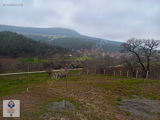 YATIRIMLIK...BİLECİK GÖLPAZARINDA 6780 M2 (ARAÇ TAKASLI) BAHÇE - BİLECİK GÖLPAZARI fotoğraf 29
