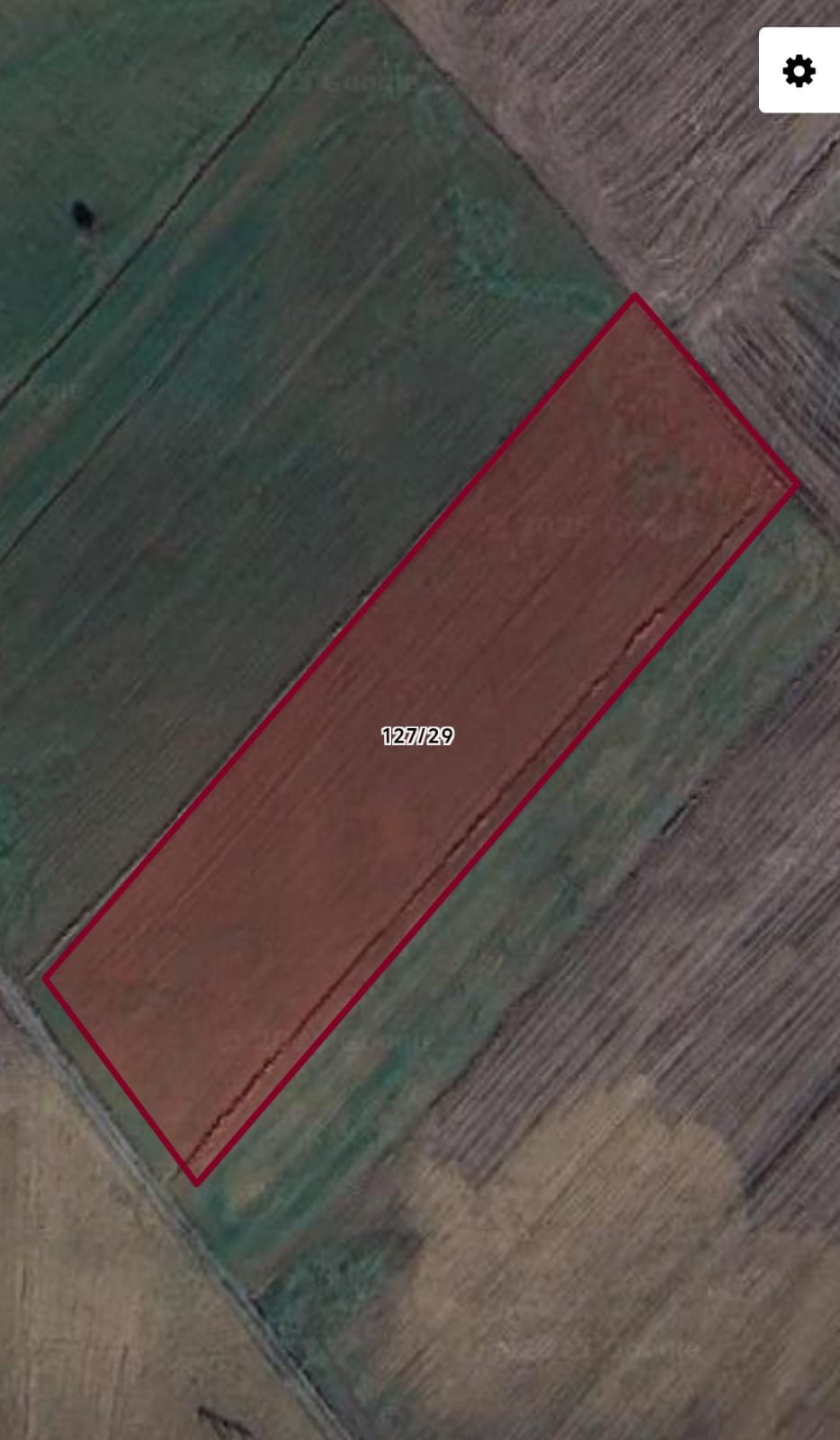 ELAZIĞ MERKEZ SARIYAKUP KÖYÜNDE 10.651m² SATILIK ARSA  - ELAZIĞ MERKEZ fotoğraf 8