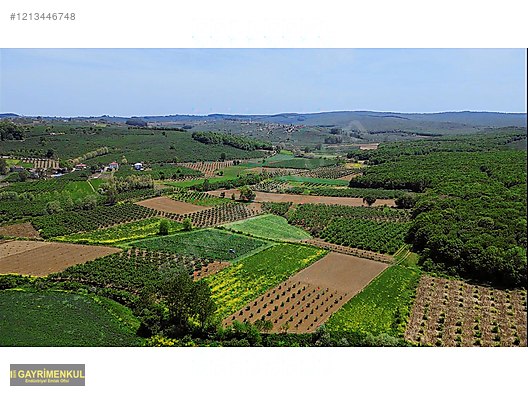 YATIRIM FIRSATI 3.962 M² TARLA FERİZLİ SARIAHMETLER MAH. - SAKARYA FERİZLİ fotoğraf 3