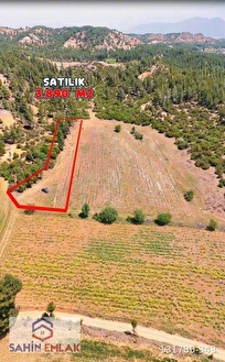 ŞAHİN BÜKE EMLAKTAN ACIPAYAM AKALAN MAH. 3.890 M2 SATILIK TARLA - DENİZLİ ACIPAYAM fotoğraf 3