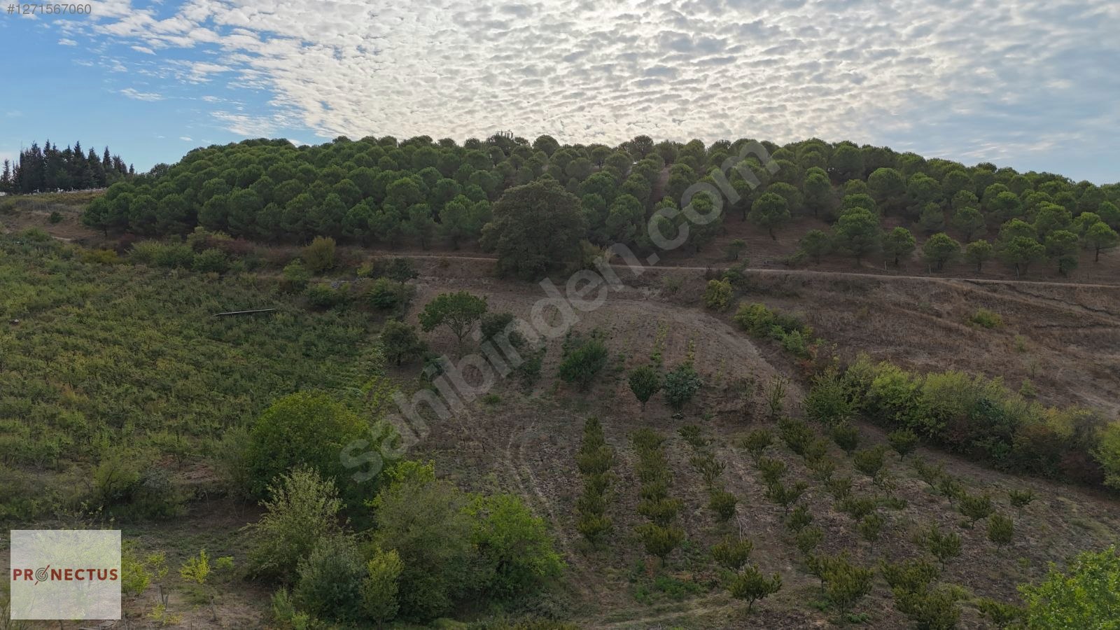 FULACIK MAH. 1894 M2 KONUT İMARLI SATILIK ARSA. - KOCAELİ KARAMÜRSEL fotoğraf 2