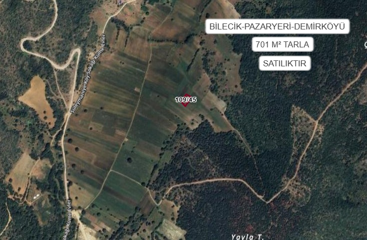BİLECİK PAZARYERİ DEMİRKÖYÜ KÖYÜ’NDE 701 M² TARLA SATILIKTIR - BİLECİK PAZARYERİ fotoğraf 2