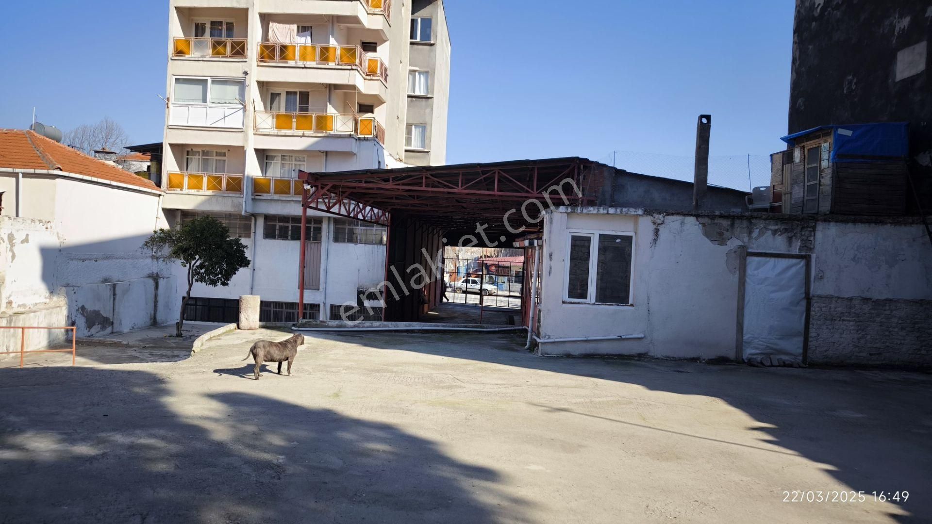 Bergama Merkezde Satılık 590m2 İşyeri - İZMİR BERGAMA fotoğraf 8