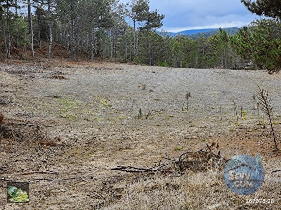 🚨 KÜTAHYA / ALTINTAŞ'TA DOĞANIN İÇİNDE 4800 M2 ARAZİ 🚨 - KÜTAHYA ALTINTAŞ fotoğraf 6