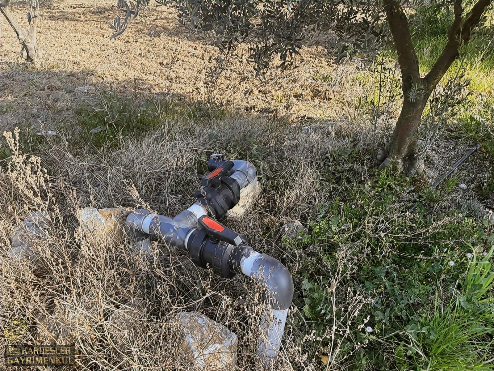 SATILIK GÖLMARMARA SALİHLİ YOLU ÜZERİNDE ASFALT ÜSTÜ ZEYTİNLİK - MANİSA AKHİSAR fotoğraf 19