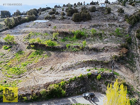 EMECİK 3460m2 YOLA CEPHE ELEKTRİK VE SUYU OLAN CEVİZ BAHÇESİ - DENİZLİ ÇAMELİ fotoğraf 2