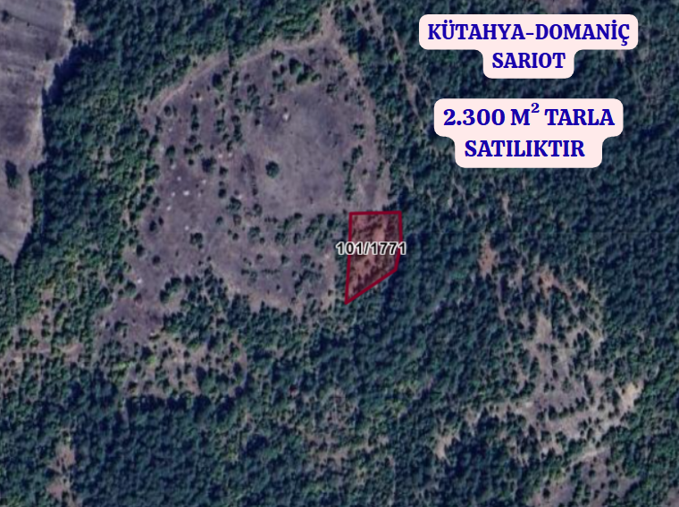 KÜTAHYA DOMANİÇ SARIOT  KÖYÜNDE 2.300 M² TARLA SATILIKTIR - KÜTAHYA DOMANİÇ fotoğraf 2