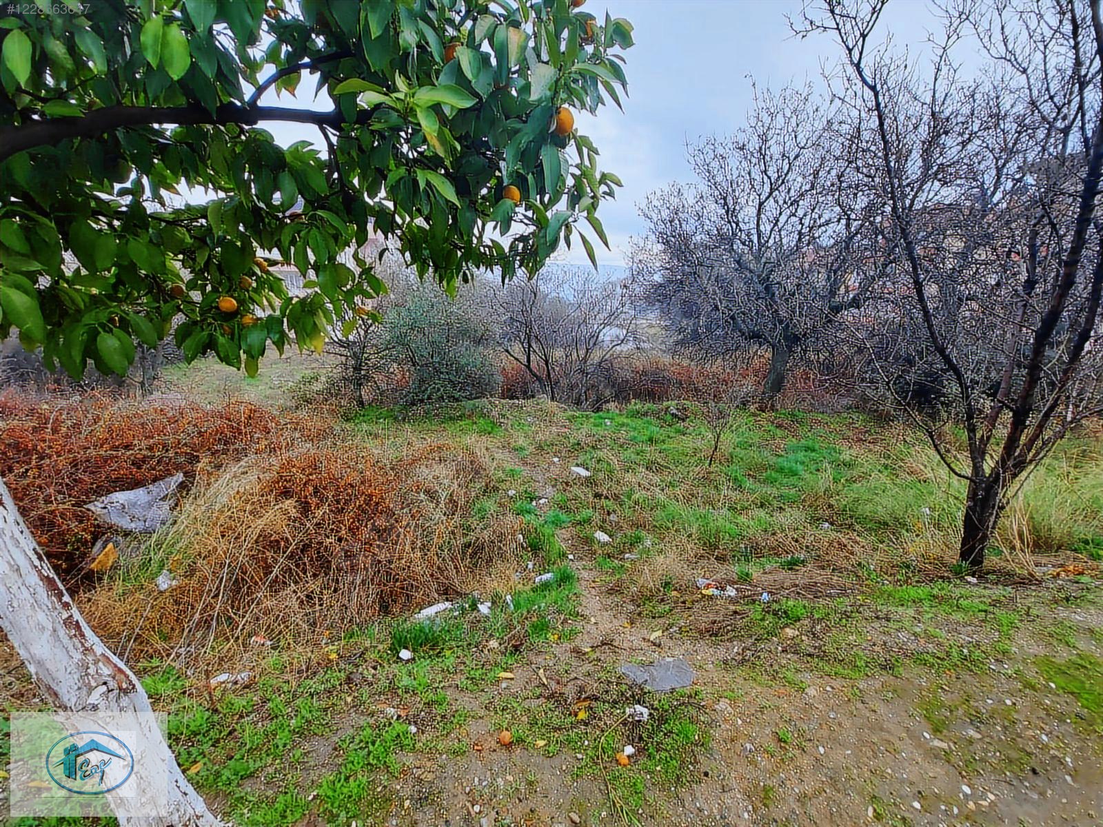 FİYAT DÜŞTÜ! BELEDİYE SOKAĞINDA, SATILIK 506 m2 ARSA - AYDIN BOZDOĞAN fotoğraf 5