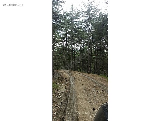 SATILIK KELES BARAKLI KÖYÜNDE - BURSA KELES fotoğraf 2