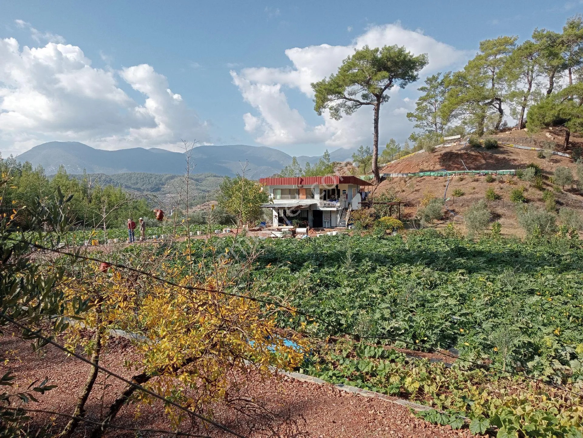 Antalya Kumlucada Satılık Müstakil Bahçe İnceoğlu Emlak - ANTALYA KUMLUCA fotoğraf 6