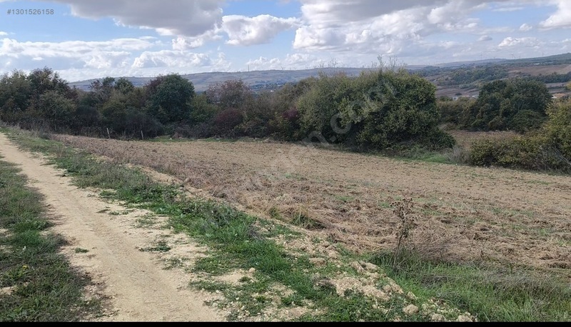 Çatalca Kabakça'da 1505 m² Satılık Tarla - Yatırım Fırsatı! - İSTANBUL ÇATALCA fotoğraf 2