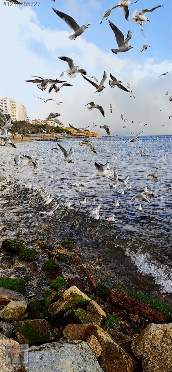 İHLAS ARMUTLU 26 MART 9 NİSAN 11.BLOK-3.BALKON 1+1 85M2 - YALOVA ARMUTLU fotoğraf 7