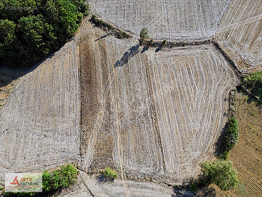 KANDIRA SEYİTALİLER MAHALLESİ'NDE 2663 M2 FIRSAT TARLA - KOCAELİ KANDIRA fotoğraf 4