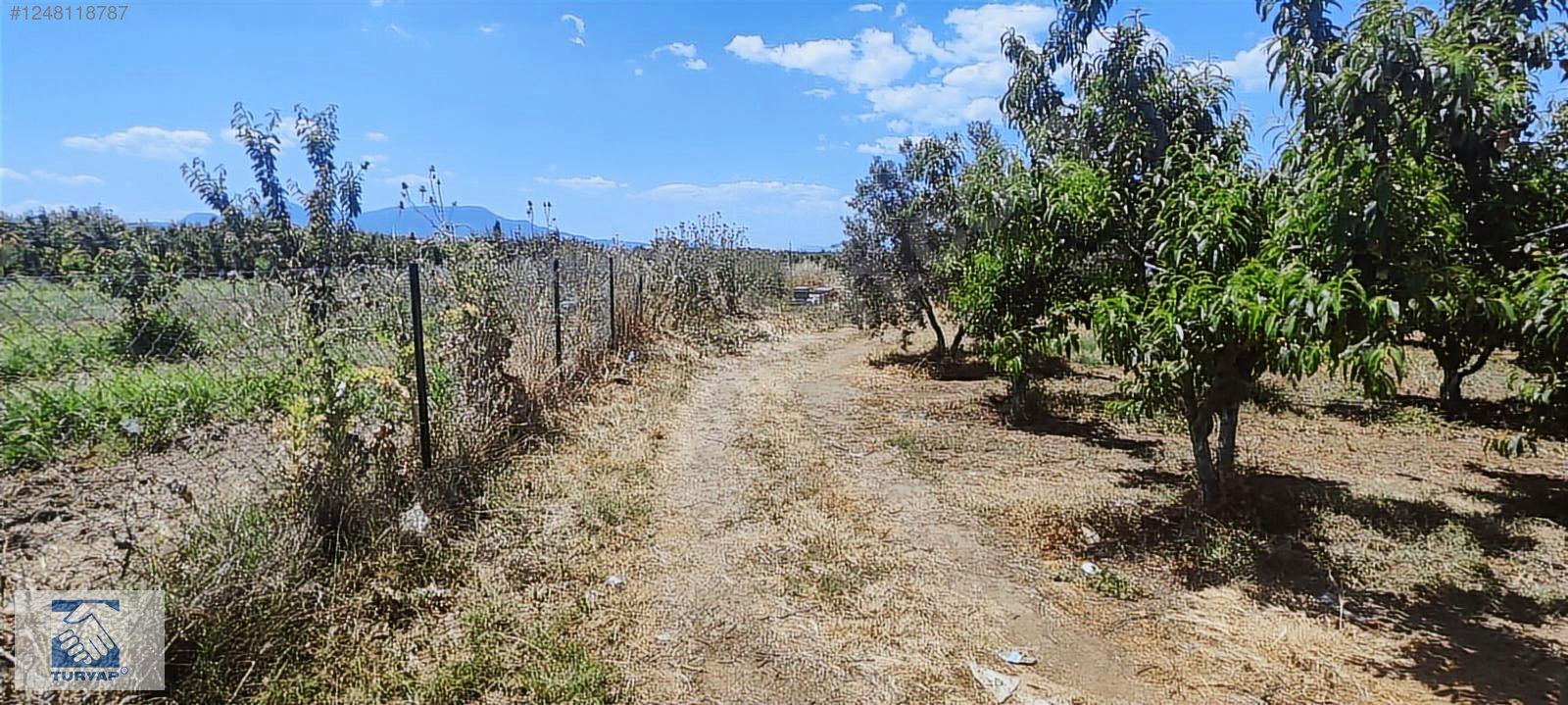 Kemalpaşa Örende 1234 M2 Satılık Müstakil Bahçe - İZMİR KEMALPAŞA fotoğraf 8