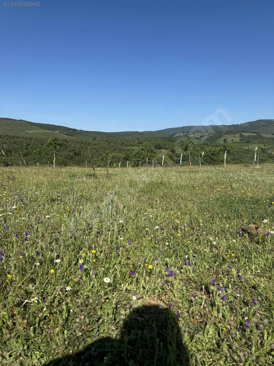 BURSA İZNİK BAYINDIR KÖYÜNDE 5.009 M TARLA SATILIKTIR - BURSA İZNİK fotoğraf 30