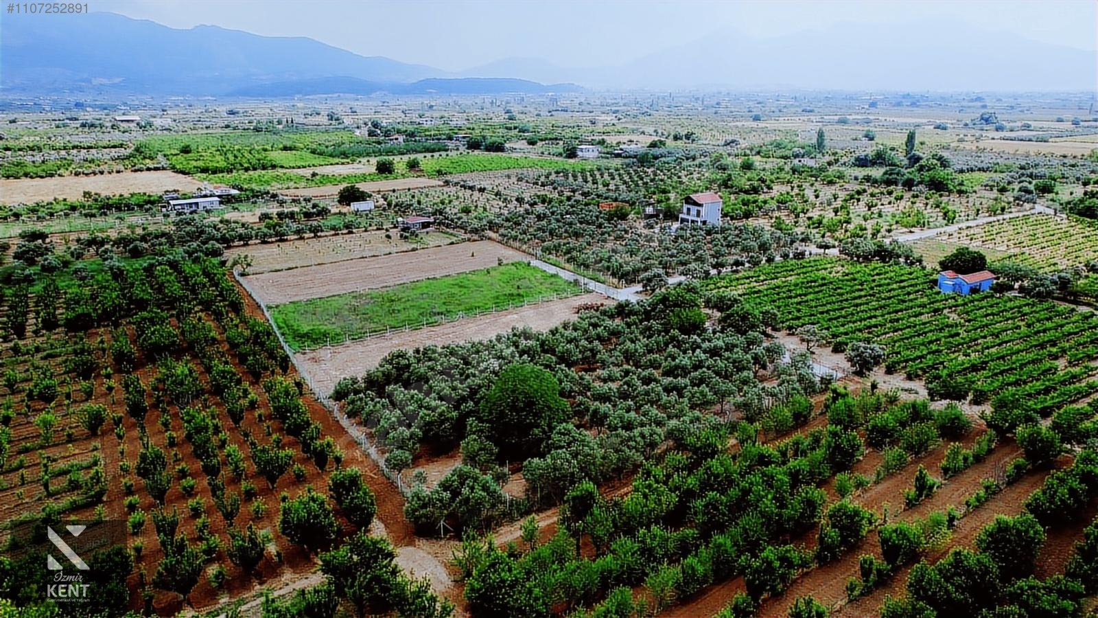 Kemalpaşa Aşağıkızılca Satılık Bahçe Tek Tapu 881 m2 - İZMİR KEMALPAŞA fotoğraf 12