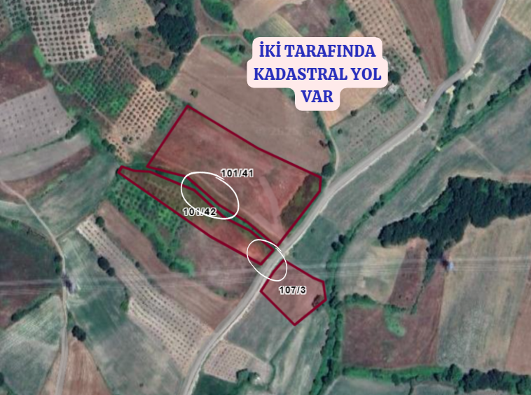BURSA MUDANYA YÖRÜKYENİCESİ  KÖYÜNDE 4.419 M² ZEYTİNLİK SATILIKTIR. - BURSA MUDANYA fotoğraf 3