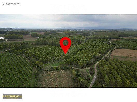 YATIRIM FIRSATI! ERENLER/ŞEYHKÖY MAH. 24.620 M² - SAKARYA ERENLER fotoğraf 24