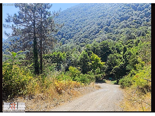AYHAN HEPDİKER DEN GEYVE NURİOSMANİYEDE 18000 M2 HARİKA KONUMDA - SAKARYA GEYVE fotoğraf 20