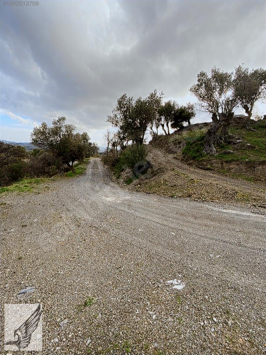 GÖDENCEDE KÖYE YAKIN EV YAPMAYA UYGUN DOĞA İÇİNDE KÖŞE PARSEL - İZMİR SEFERİHİSAR fotoğraf 4