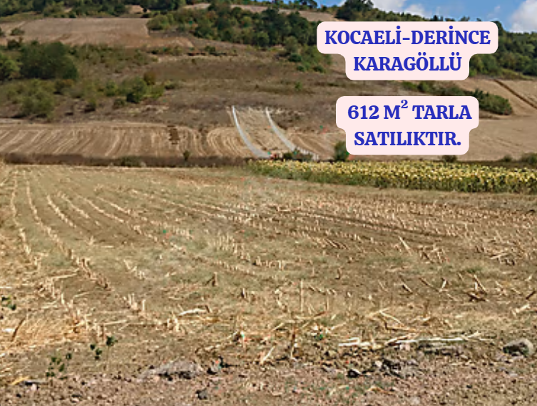 KOCAELİ DERİNCE KARAGÖLLÜ  KÖYÜ’NDE 612 M² TARLA SATILIKTIR - KOCAELİ DERİNCE fotoğraf 2