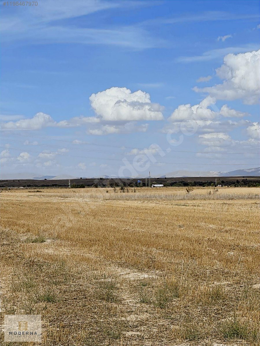 KONYA AKŞEHİR REİS ORGANİZE SAN YAKINI 2782 M2 RESMİ YOL CEPHELİ - KONYA AKŞEHİR fotoğraf 7