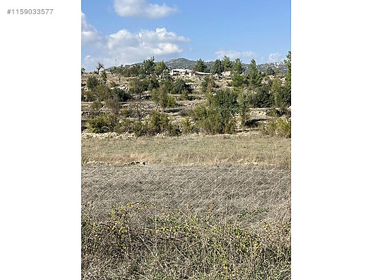 Antalya / Akseki / Erenyaka Mahallesinde  1.551 m² SATILIK ARSA  - ANTALYA AKSEKİ fotoğraf 10