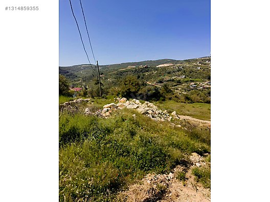 PANORAMİK MANZARALI YATIRIMLIK ZEYTİNLİK - HATAY YAYLADAĞI fotoğraf 20
