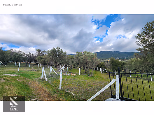Kemalpaşa Sütçüler Satılık 331 m2 Bahçe - İZMİR KEMALPAŞA fotoğraf 34