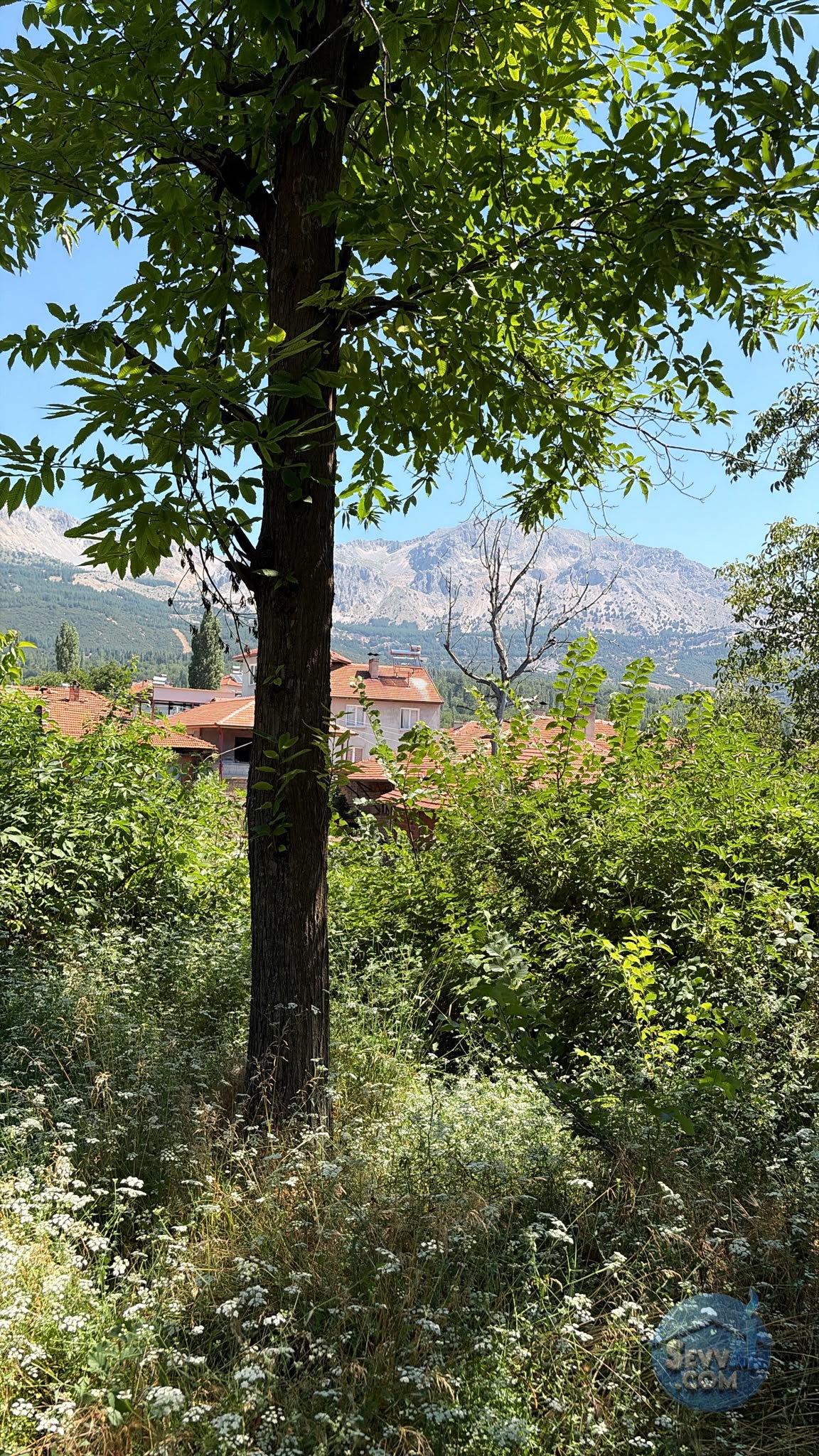 AĞLASUN SAKARCA MAHALLESİNDE SATILIK MUHTELİF ARSA - BURDUR AĞLASUN fotoğraf 21