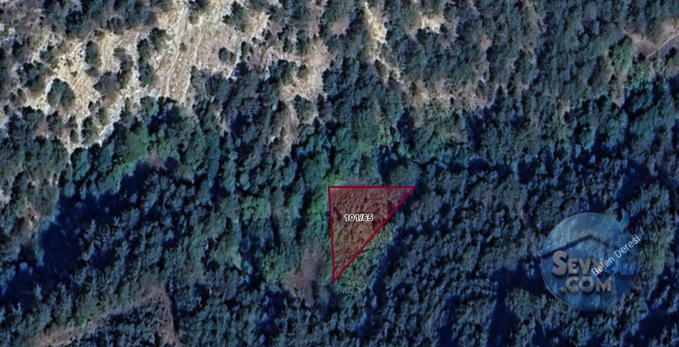 BOLU GÖYNÜK ÇAYLAK KÖYÜNDE 526 m² TARLAMIZ SATILIKTIR. - Bolu Göynük fotoğraf 5