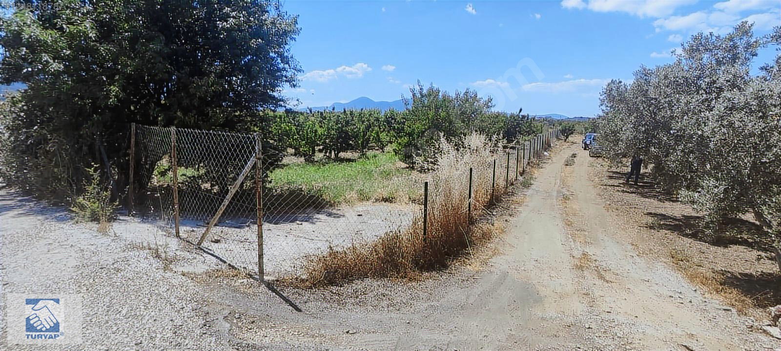 Kemalpaşa Örende 1234 M2 Satılık Müstakil Bahçe - İZMİR KEMALPAŞA fotoğraf 3