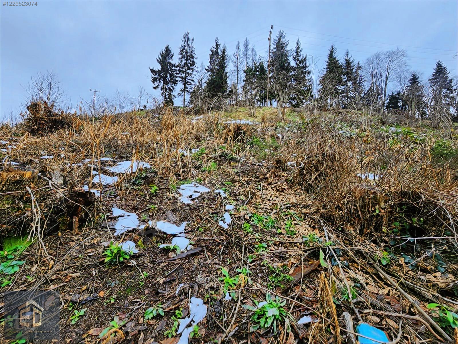 E&D GYO'DAN TRABZON KAVALA'DA SATILIK 1050 M² MANZARALI ARSA - TRABZON ORTAHİSAR fotoğraf 7