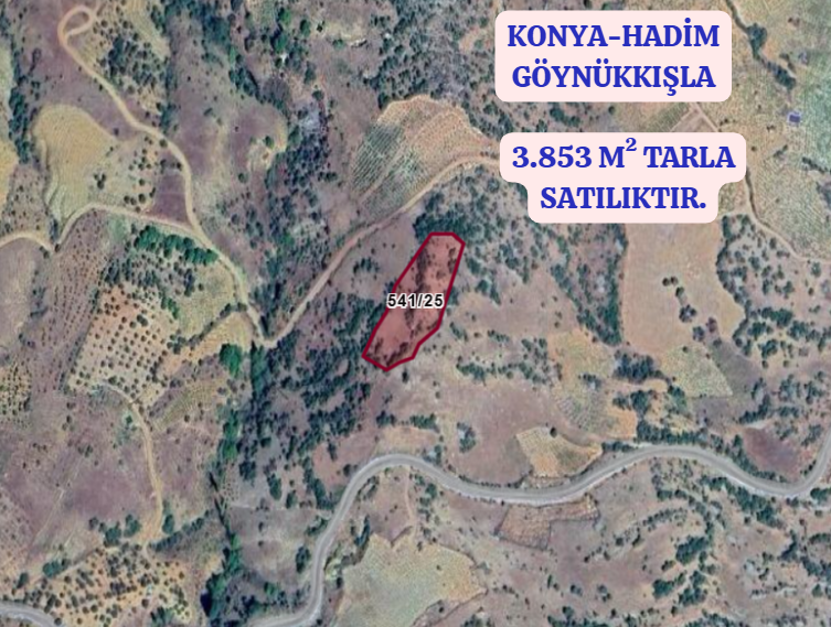 KONYA HADİM GÖYNÜKKIŞLA  KÖYÜNDE 3.853  M² TARLA  SATILIKTIR - KONYA HADİM fotoğraf 2