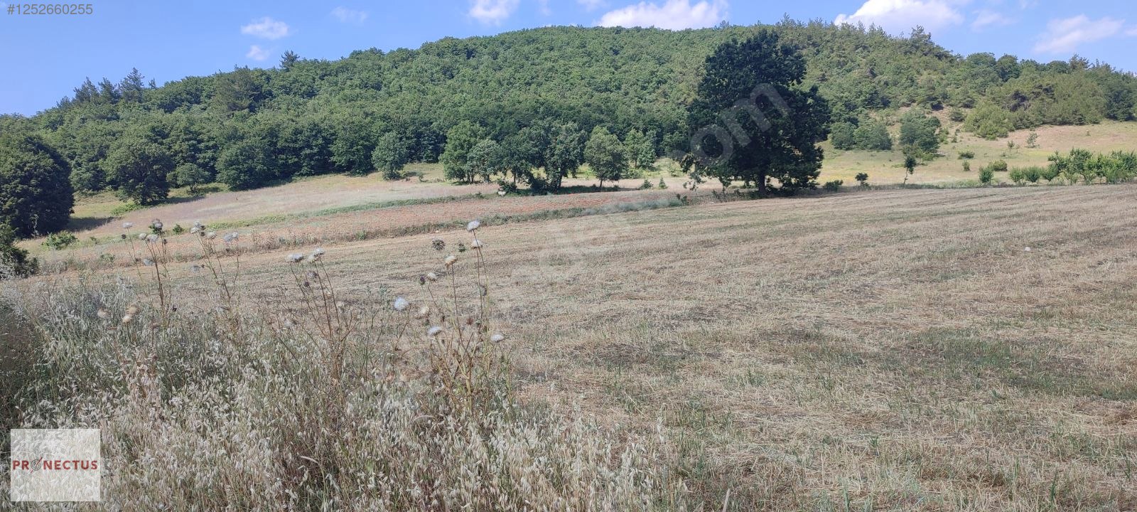 YÖRÜKLER MAHALLESİNDE ASFALT YOLA CEPHE SATILIK 5833 M2 TARLA - BURSA İZNİK fotoğraf 5