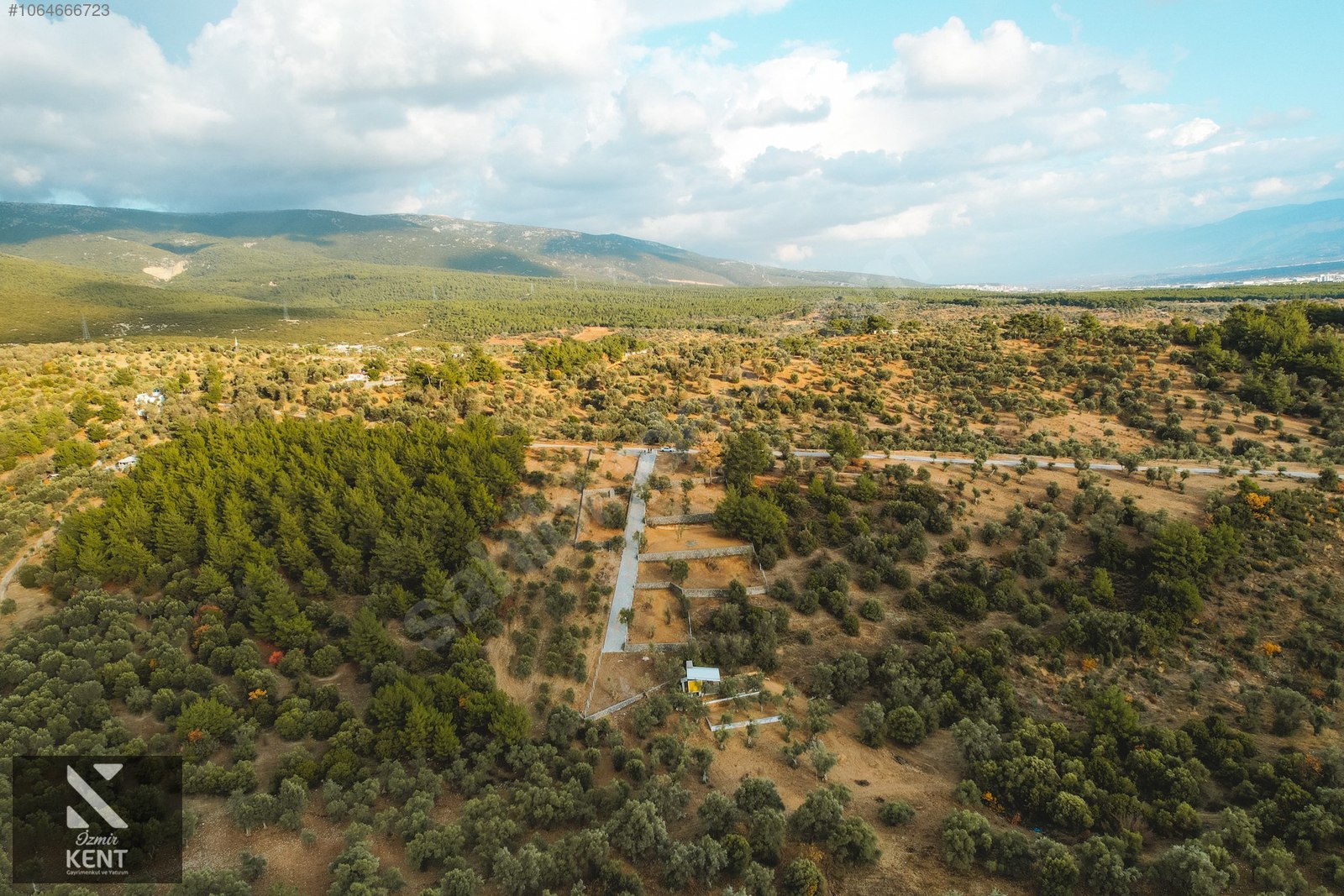 Kemalpaşa Yenmiş Satılık Bahçe 610 m2 - İZMİR KEMALPAŞA fotoğraf 33