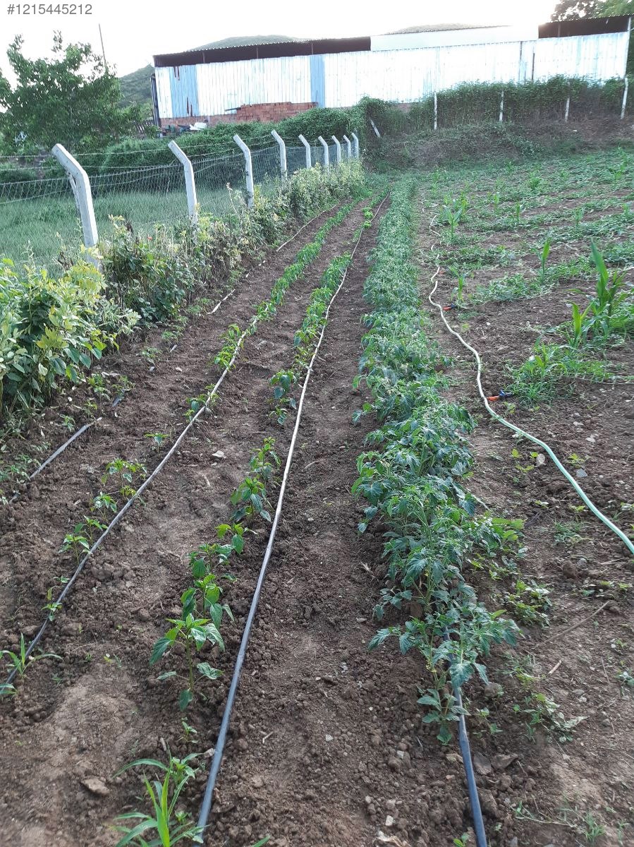 BURSA MUSTAFAKEMALPAŞA PAŞALAR'DA 2.861 M²  BAHÇELİ AHŞAP EV VE ARSA SATILIKTIR - BURSA MUSTAFAKEMALPAŞA fotoğraf 5
