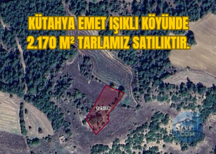KÜTAHYA EMET IŞIKLI KÖYÜNDE 2.170 M² TARLAMIZ SATILIKTIR. - Kütahya Emet fotoğraf 2