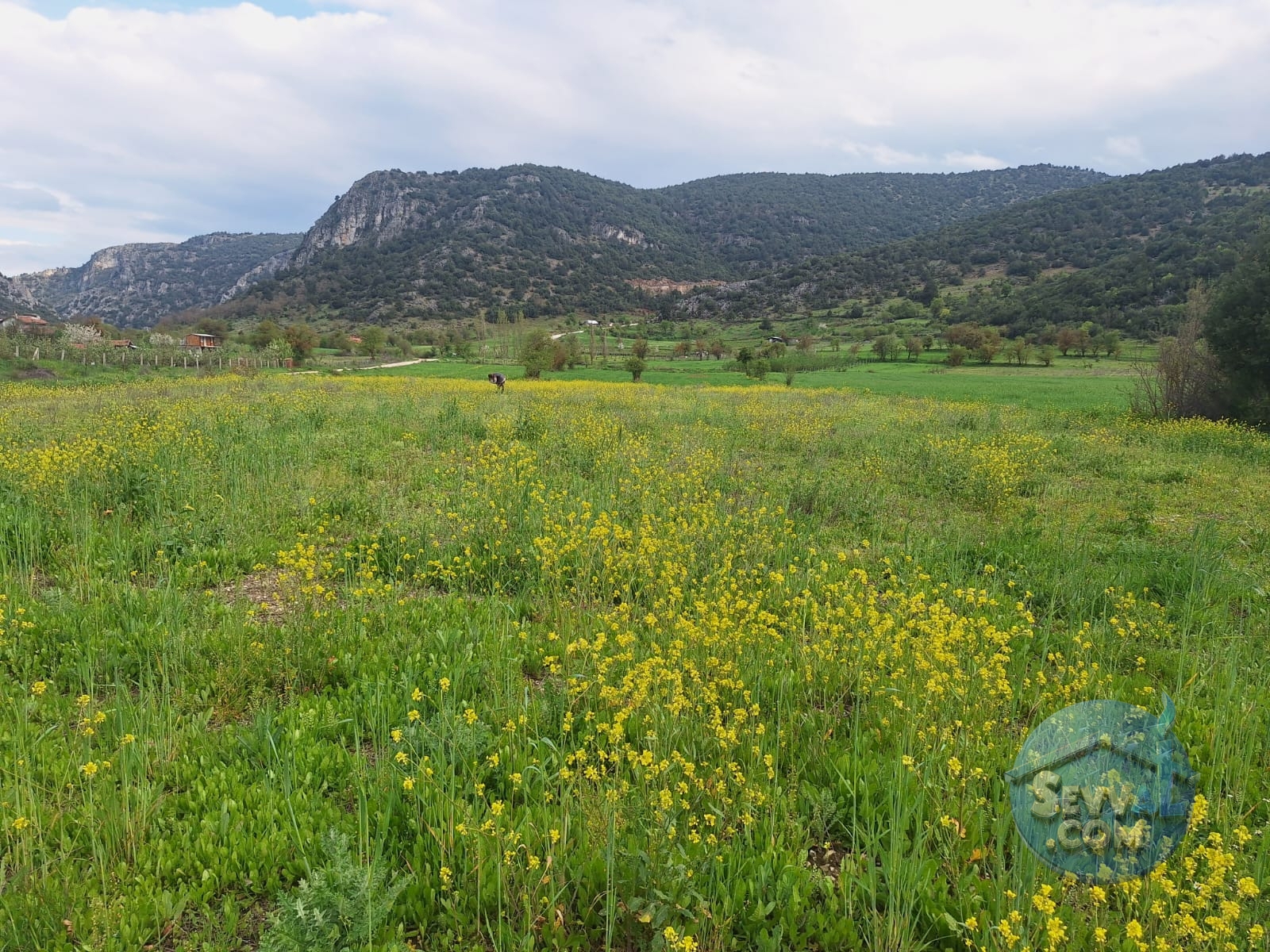 ASYA EMLAKTAN BURDUR AĞLASUN HİSARKÖY DE SATILIK FIRSAT TARLA - Burdur Ağlasun fotoğraf 5