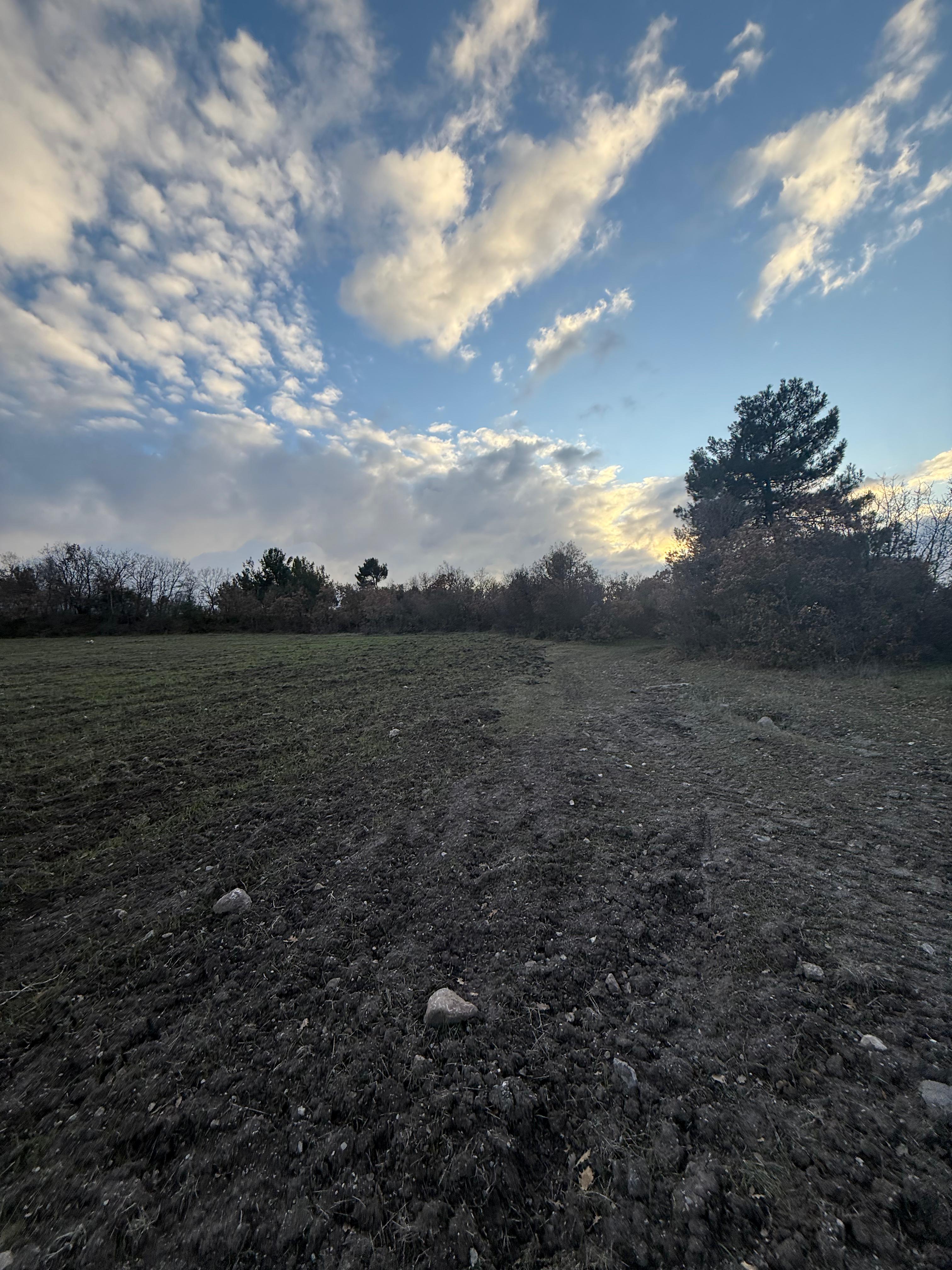 BALIKESİR SINDIRGI OSMANLAR  KÖYÜNDE  9.566   M²  TARLA  SATILIKTIR - BALIKESİR SINDIRGI fotoğraf 2