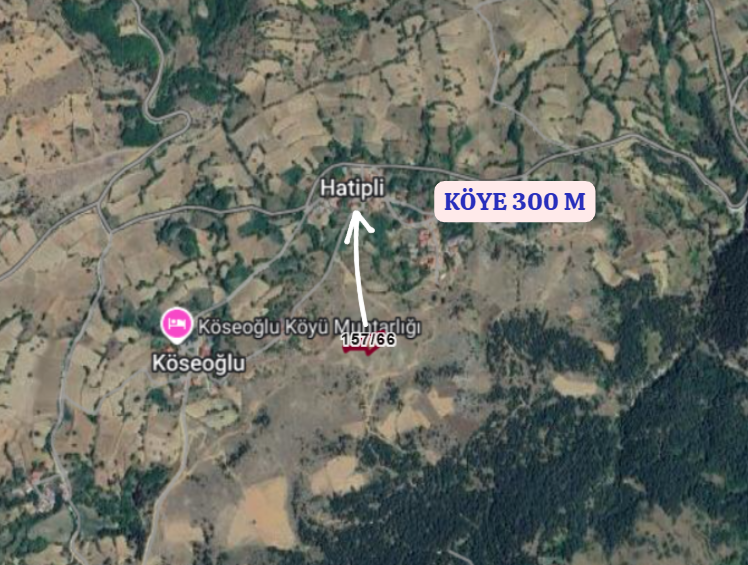KASTAMONU MERKEZ HATİPLİ DE 2.269M² DEN 283M² HİSSELİ TARLA - KASTAMONU MERKEZ fotoğraf 6