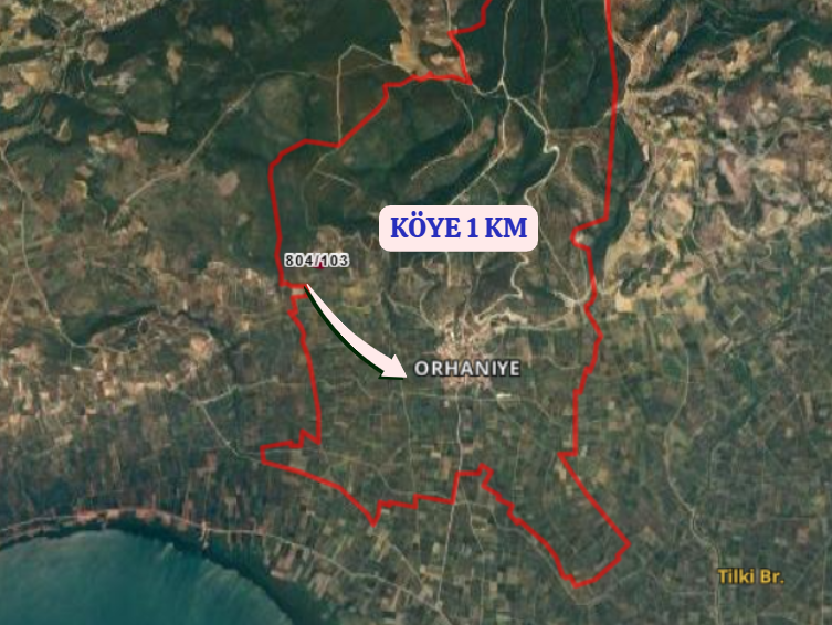 BURSA İZNİK ORHANİYE  KÖYÜNDE  4.481  M² ZEYTİNLİK SATILIKTIR. - BURSA İZNİK fotoğraf 4