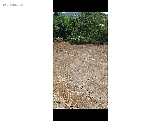 KAHRAMANMARAŞ ANDIRIN KABAKLAR KÖYÜNDE 260 M²  BAHÇE SATILIKTIR - KAHRAMANMARAŞ ANDIRIN fotoğraf 5