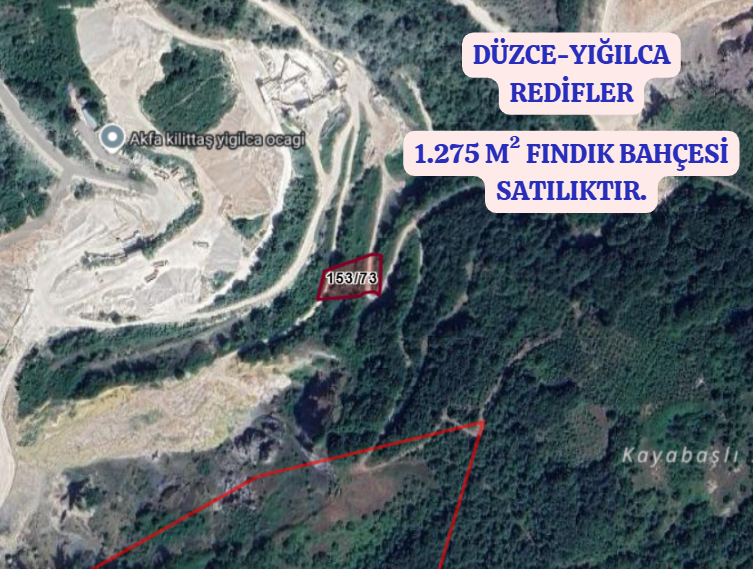 DÜZCE YIĞILCA REDİFLER   KÖYÜNDE 1.275  M² FINDIK BAHÇESİ  SATILIKTIR - DÜZCE YIĞILCA fotoğraf 2