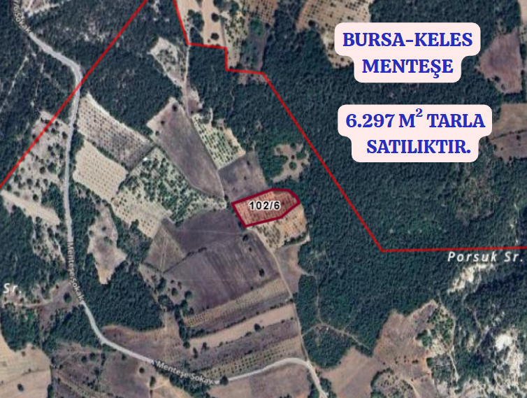 BURSA KELES MENTEŞE KÖYÜNDE  6.297  M² BAĞ SATILIKTIR - BURSA KELES fotoğraf 2