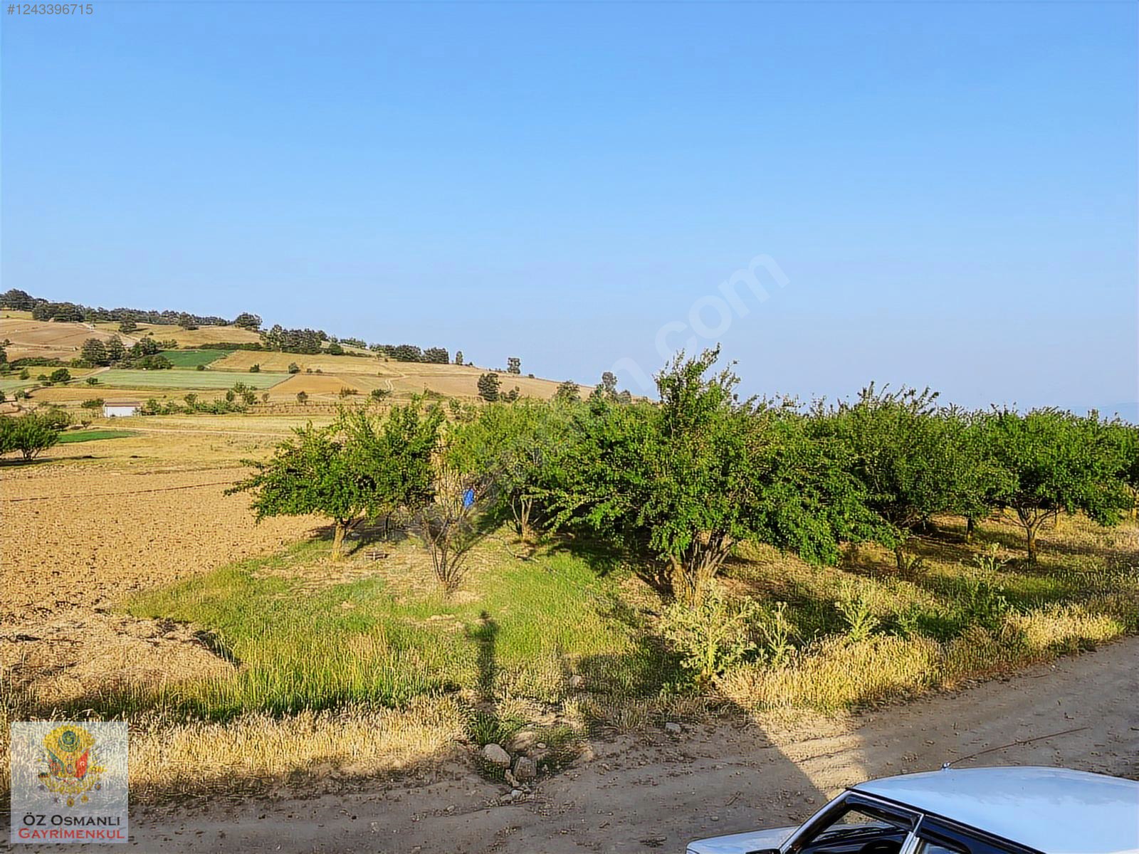 %40 İMARLI 2.5 DÖNÜM KÖY İÇİ ARAÇ TAKASLI ARSA ! - BİLECİK OSMANELİ fotoğraf 5