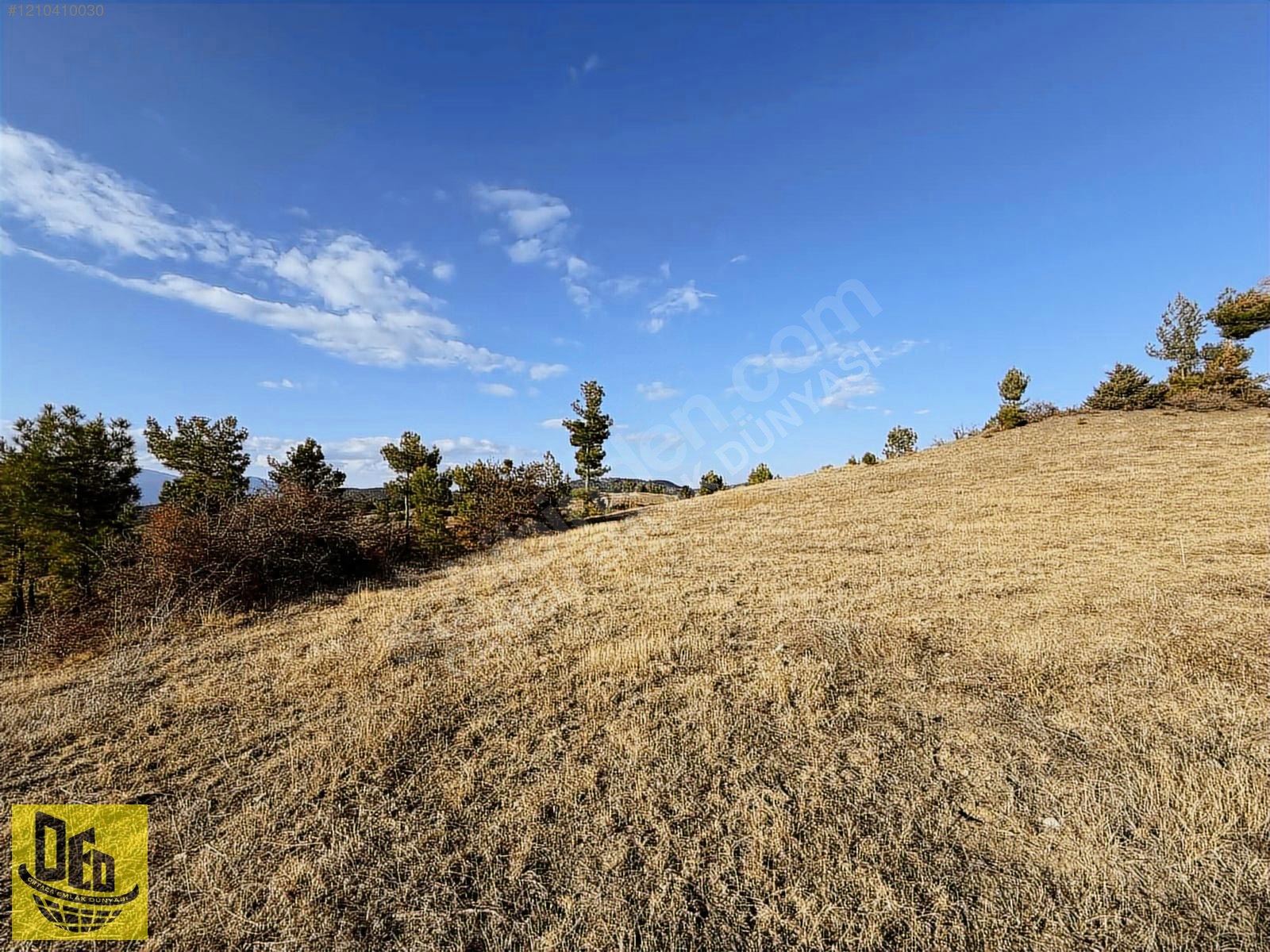 ÇAMELİ GÜZELYURT 4 CEPHE MANZARALI 4.773m2 KUPON TARLA - DENİZLİ ÇAMELİ fotoğraf 6