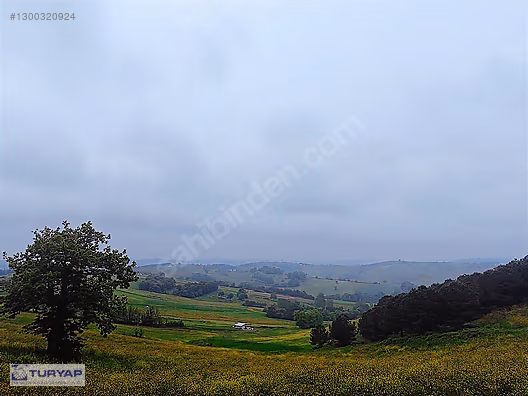 Derince Geredeli Satılık Tarla 5.930 m² (Sevindik Yakını) - KOCAELİ DERİNCE fotoğraf 8