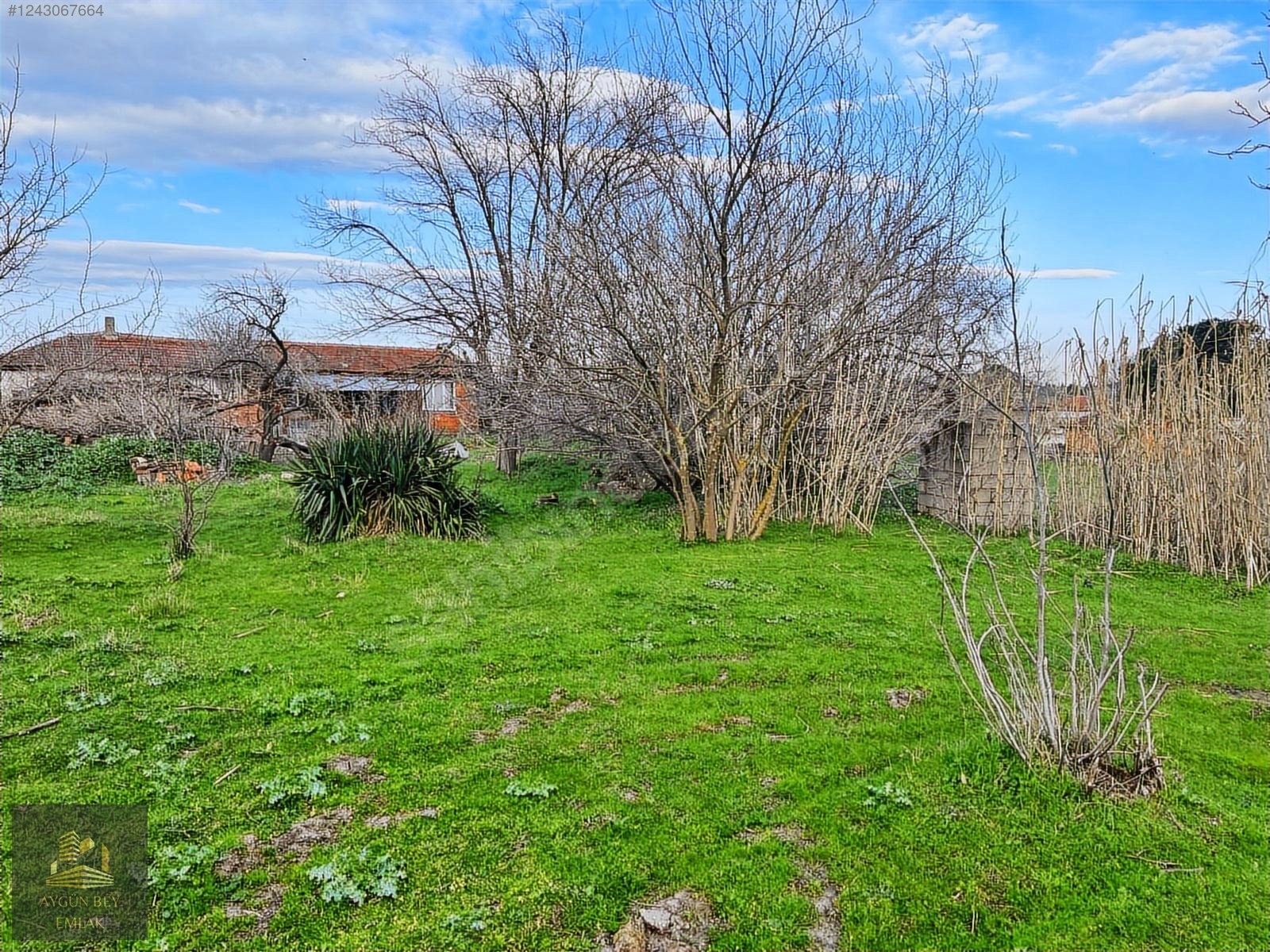 Bursada 2 Adet Müstakil Ev & 1.041 m² Arazi Yenilemeye ve - BURSA MUSTAFAKEMALPAŞA fotoğraf 12